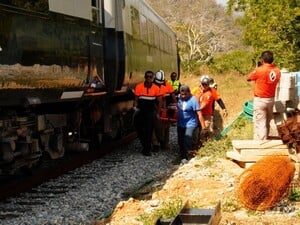 В Мексике сошел с рельсов поезд. Ранены около 100 человек, более 10 погибли. Фото