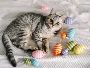 Зачем перед Пасхой нужен пост и почему он Великий