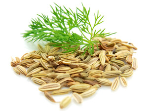 Замочите перед посадкой семена укропа в этом продукте – и они быстро взойдут