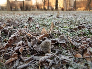 В Украину идет похолодание, возможны заморозки