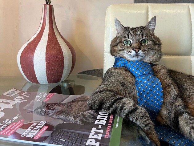 Адміністратори сторінки кота Степана пообіцяли розповісти правду про його зникнення – у блозі давно немає нових знімків улюбленця мережі